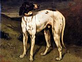 A Dog from Ornans by Gustave Courbet